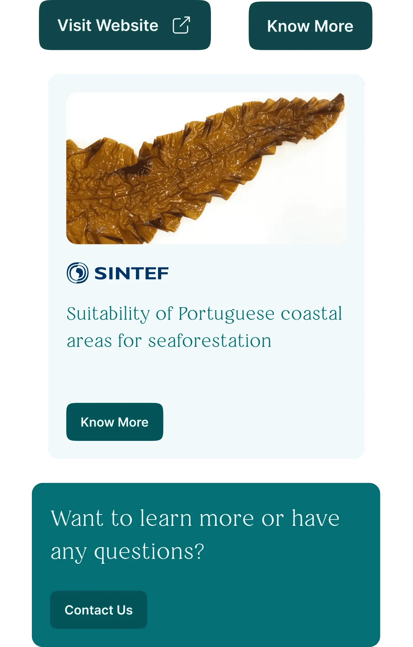 BlueForests components on mobile: a SINTEF project card on Portuguese coastal areas and a contact prompt