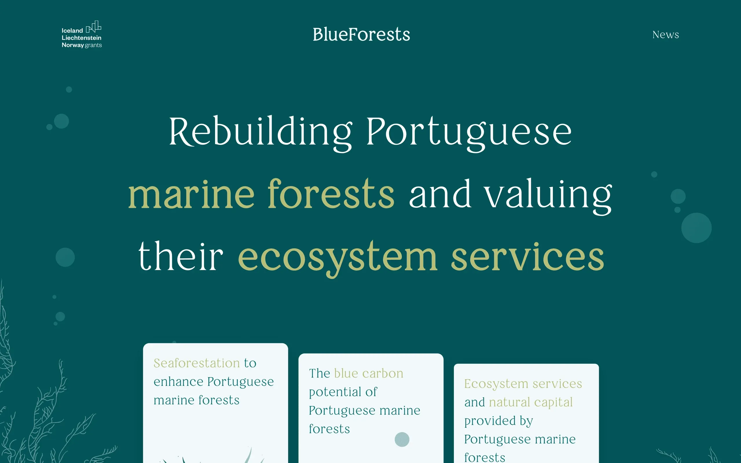 BlueForests homepage hero reading "Rebuilding Portuguese marine forests and valuing their ecosystem services", above three topic cards