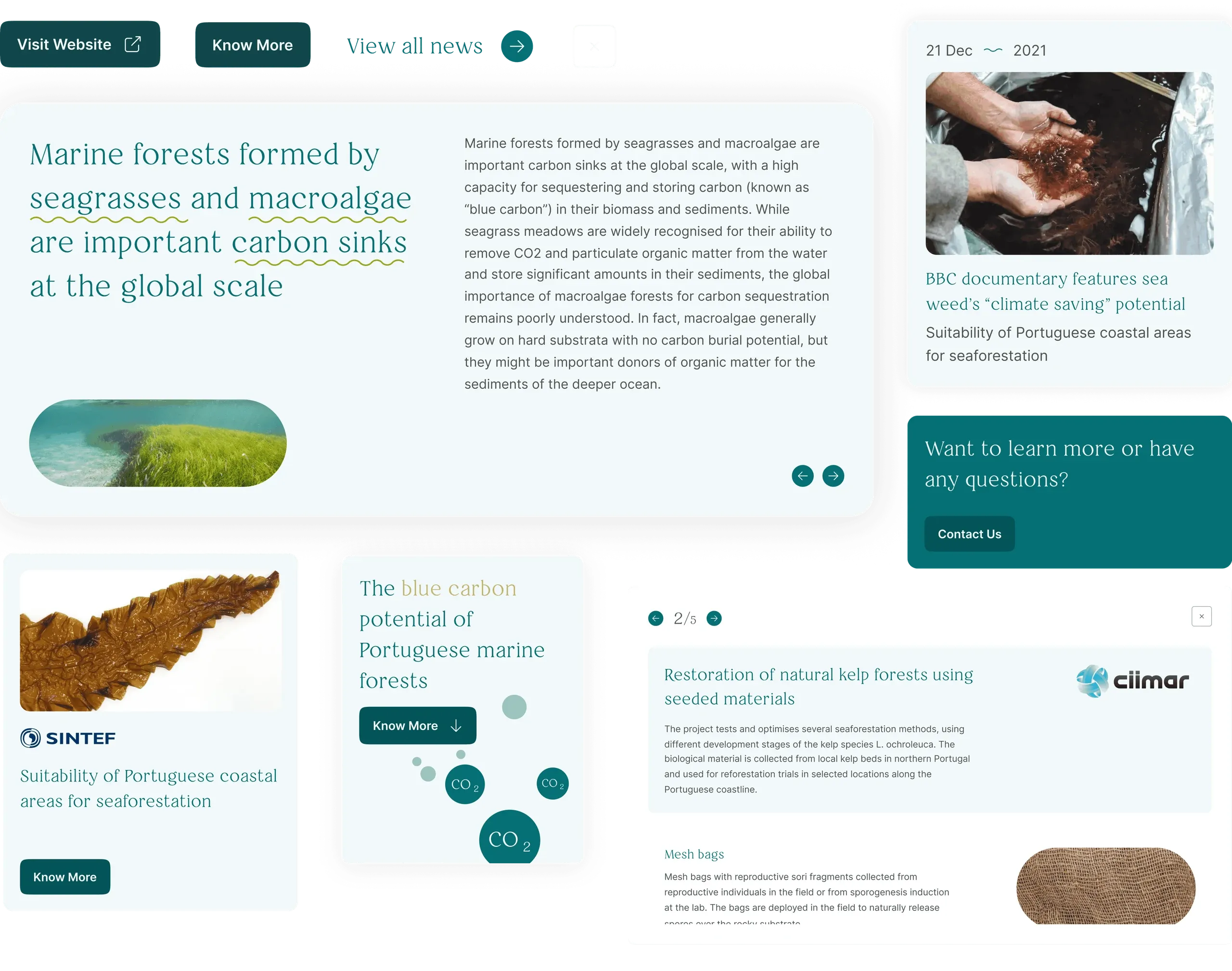 BlueForests interface components: a card on marine forests as carbon sinks, news and contact cards, and project cards from SINTEF and CIIMAR