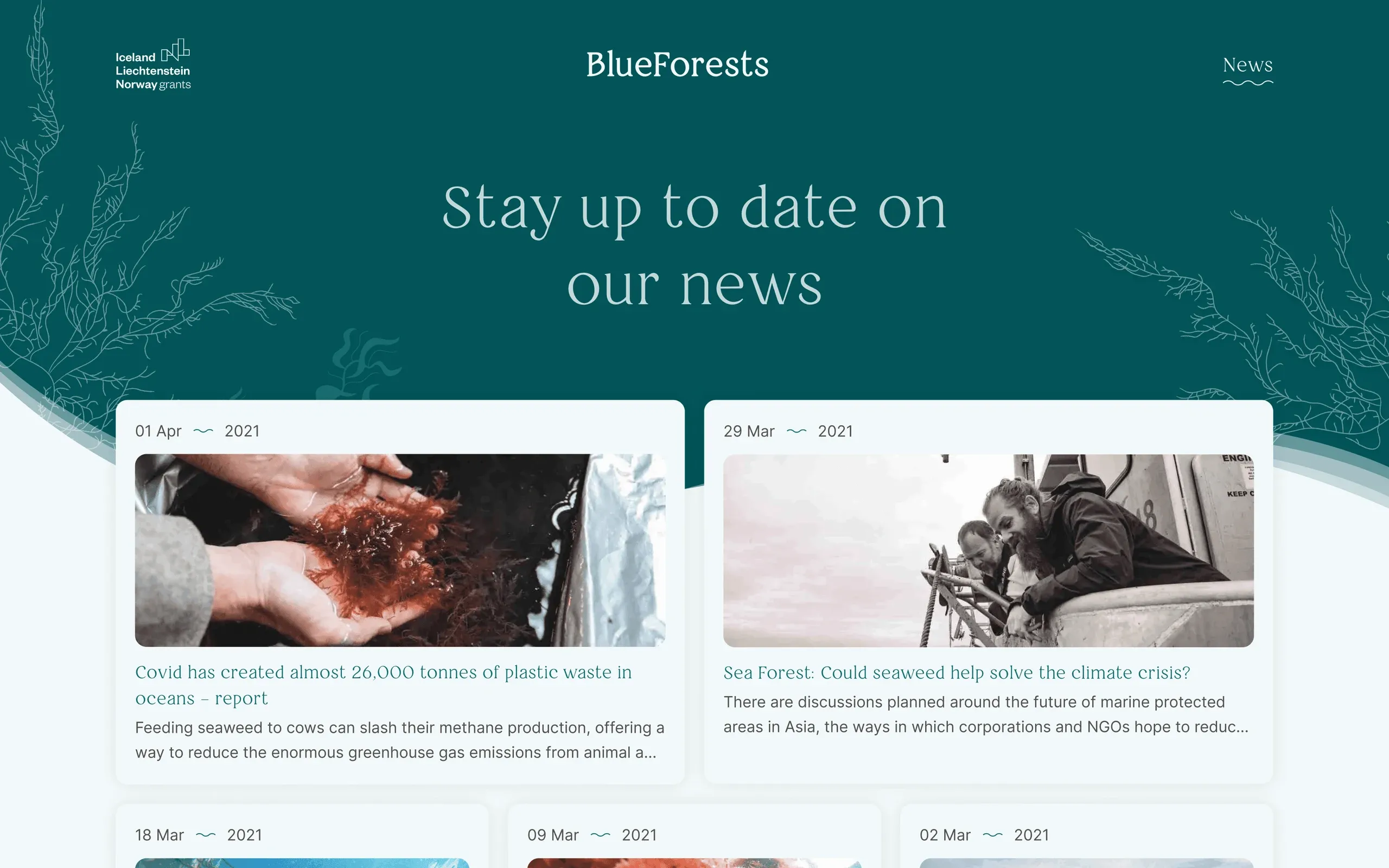 BlueForests news page, "Stay up to date on our news", with dated article cards and photos
