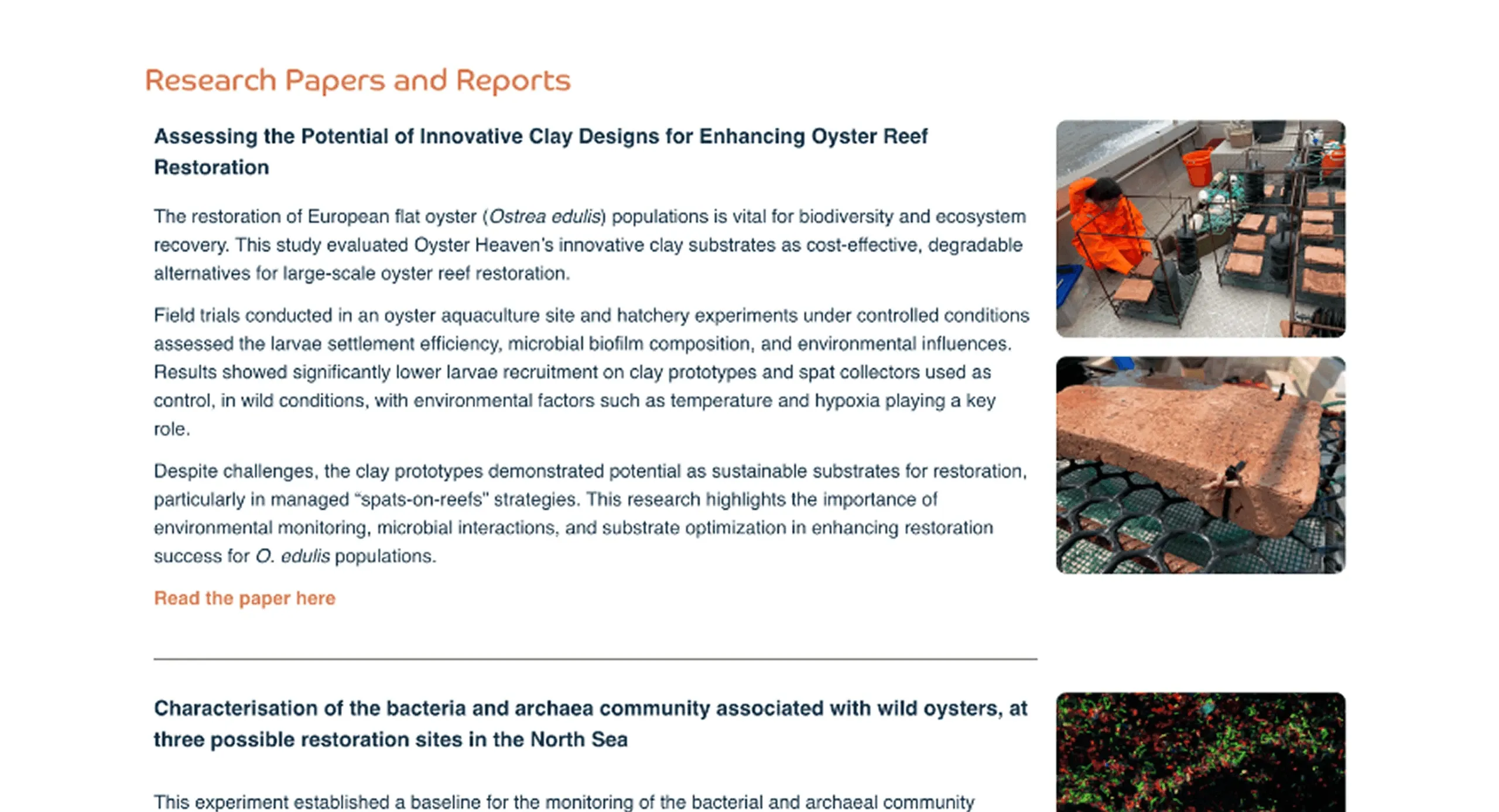 Oyster Heaven's "Research Papers and Reports" page before the redesign: long text summaries of each paper beside photos