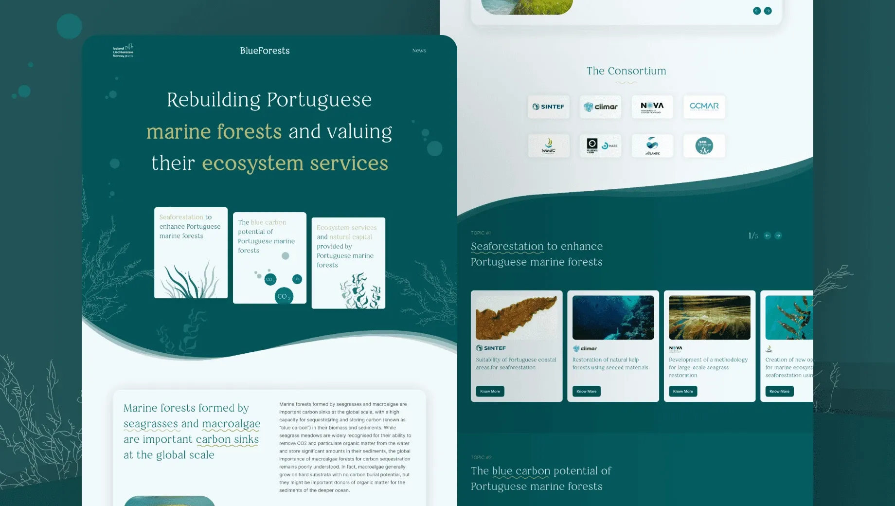 BlueForests website layout with teal aquatic design showing efforts to restore Portuguese marine forests, partners, and carbon potential.