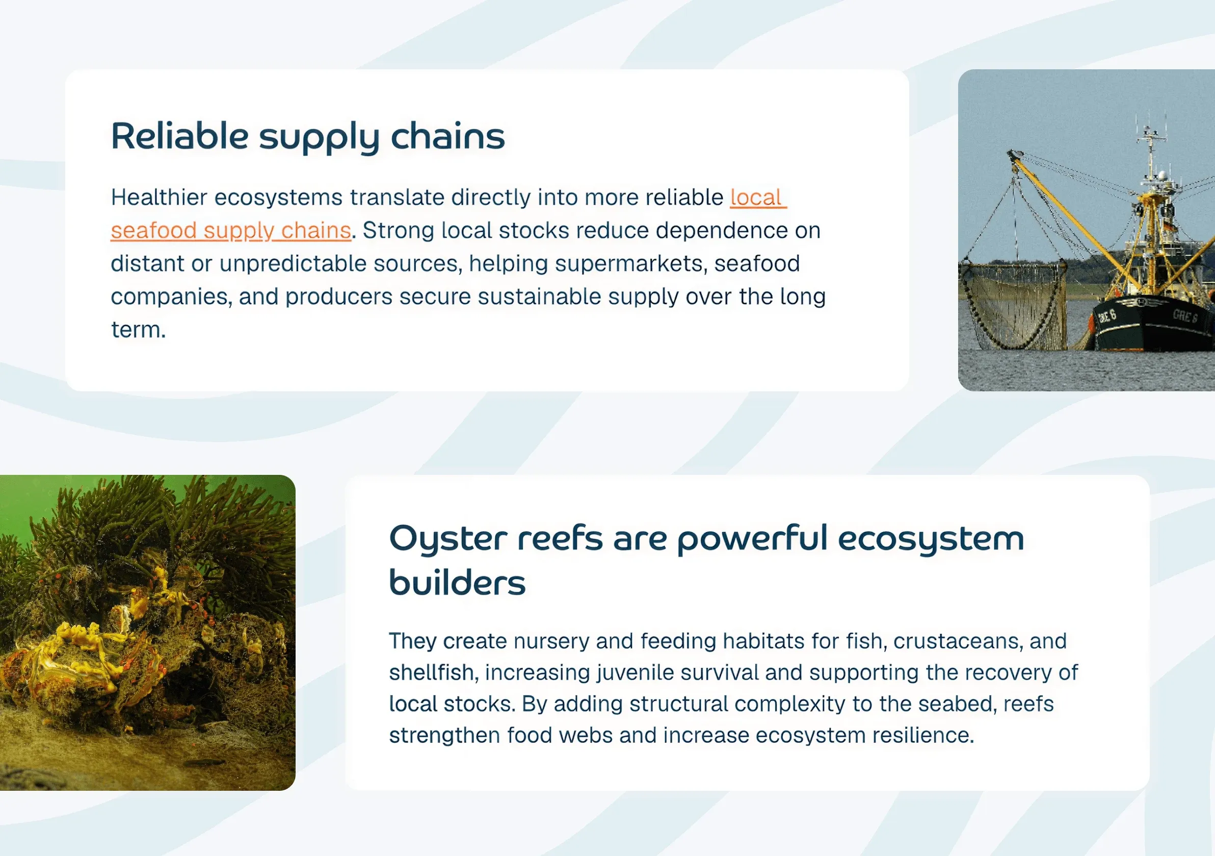 Oyster Heaven benefit cards: "Reliable supply chains" and "Oyster reefs are powerful ecosystem builders"