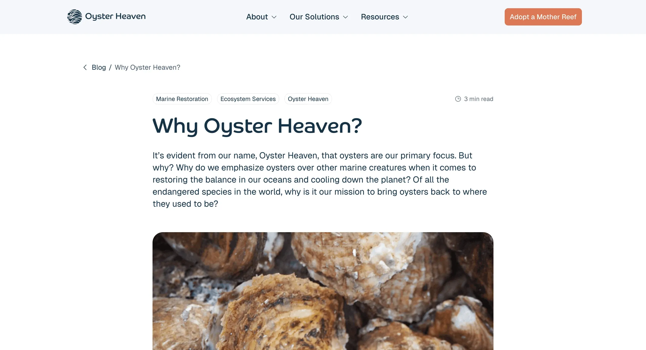 Oyster Heaven blog article "Why Oyster Heaven?"