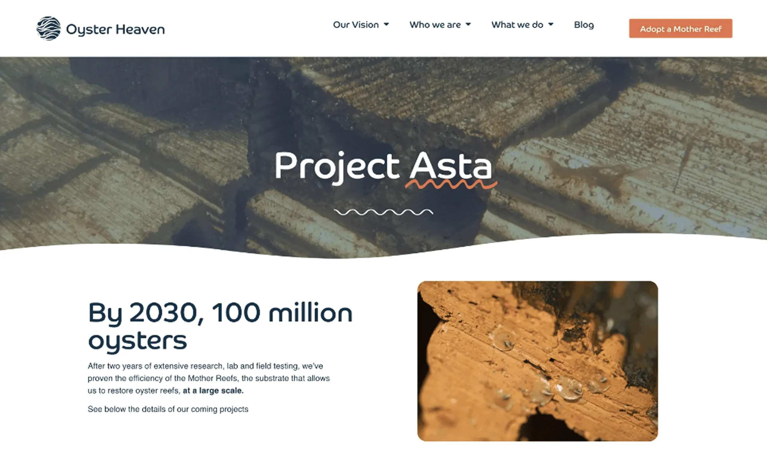 Oyster Heaven Project Asta page before the redesign: "By 2030, 100 million oysters"
