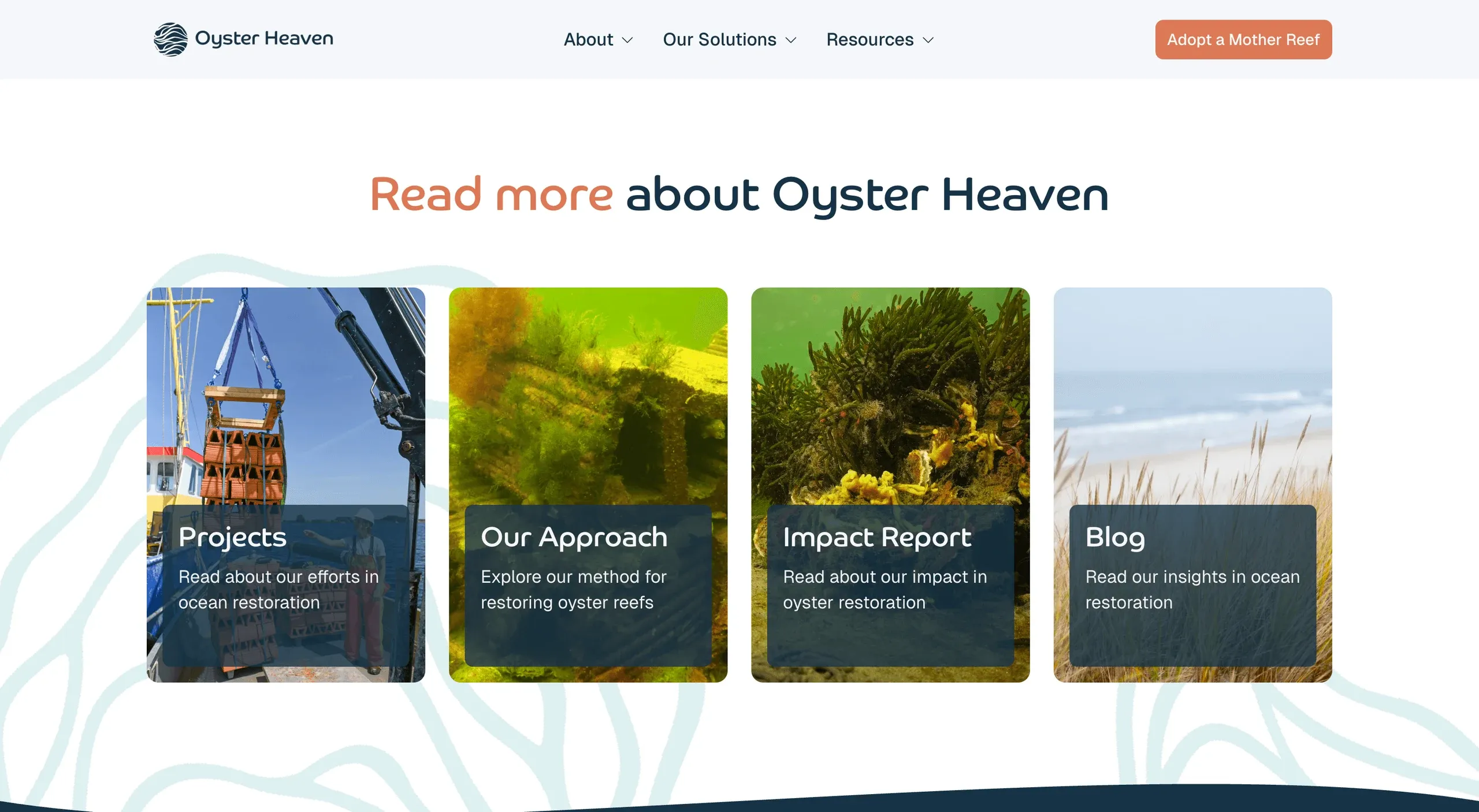 Oyster Heaven "Read more about Oyster Heaven" cards: Projects, Our Approach, Impact Report and Blog