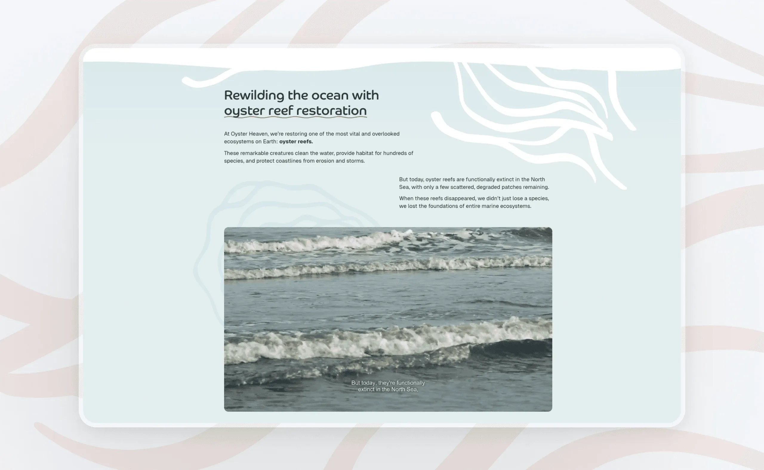 Oyster Heaven section "Rewilding the ocean with oyster reef restoration" with a photo of waves
