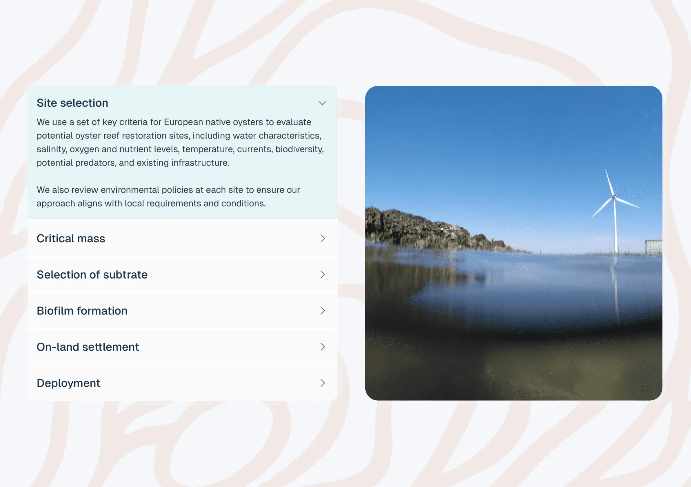 Oyster Heaven workflow accordion opened on "Site selection", next to a photo of a coastline with a wind turbine
