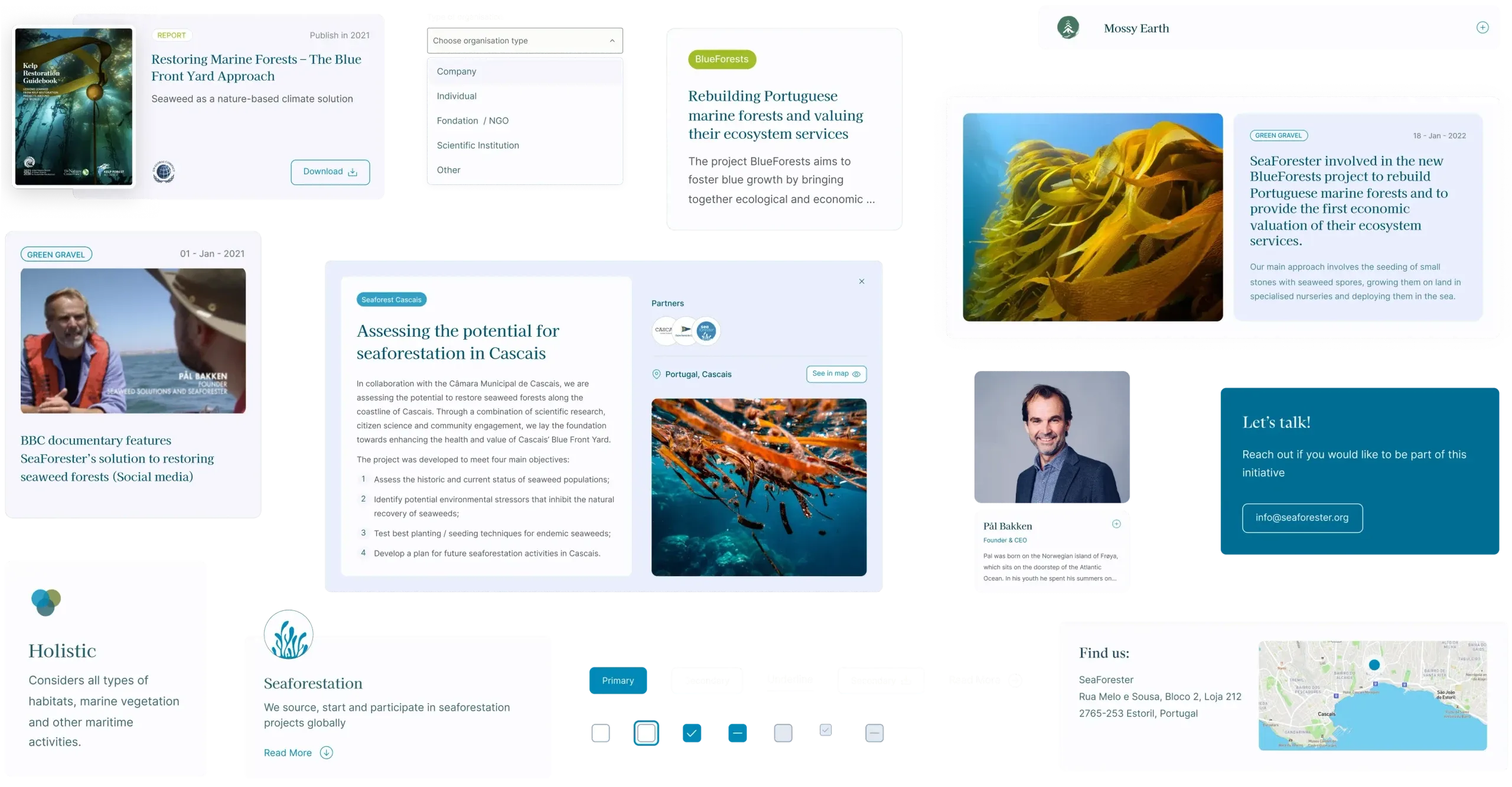 SeaForester design system components: cards, filters, buttons, a profile and a map