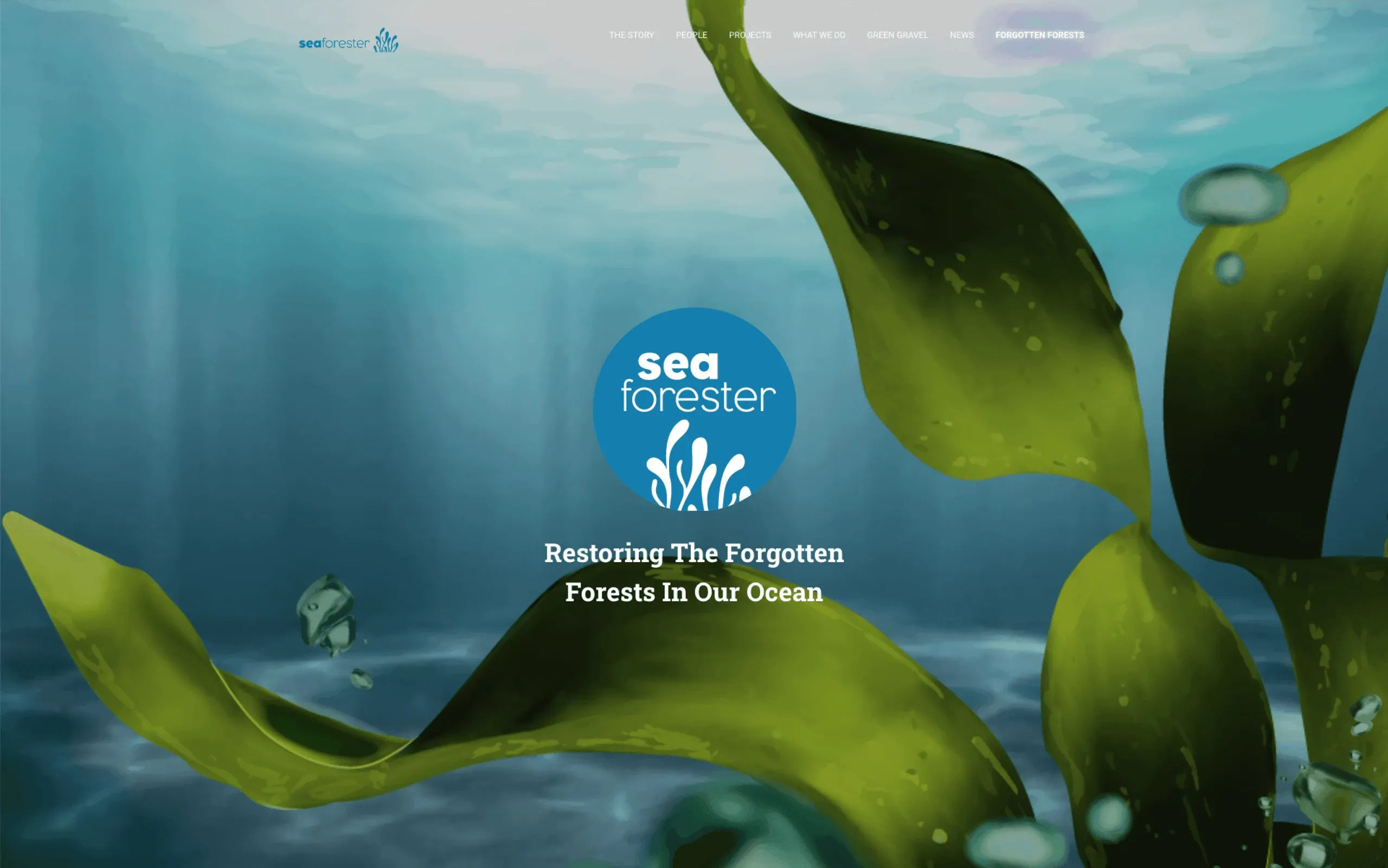 SeaForester homepage before the redesign: the SeaForester logo over an underwater photo of kelp