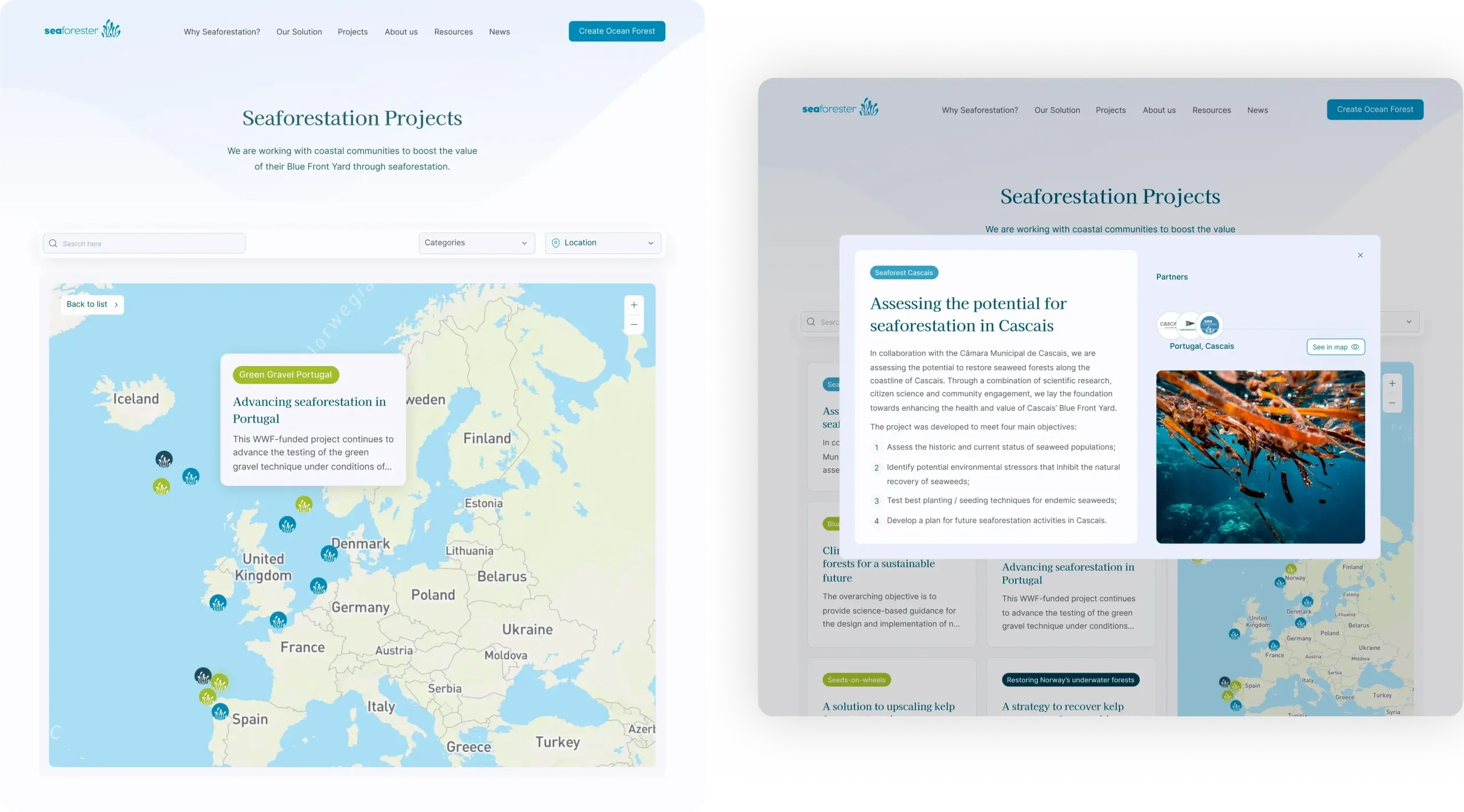 SeaForester projects page with a map of seaforestation projects and an open project card