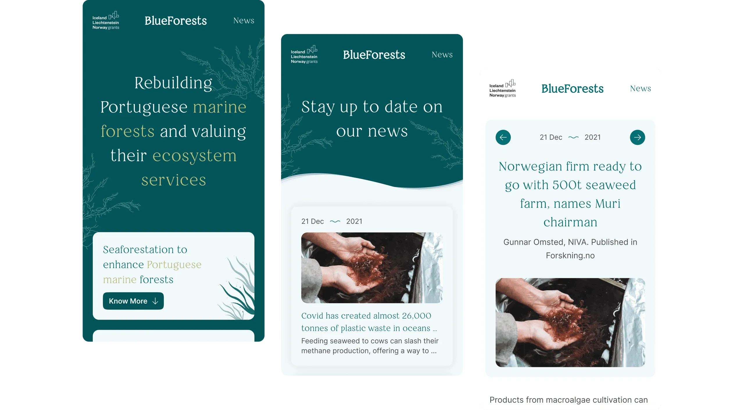 Three BlueForests mobile screens: the homepage hero, the news list and a news article