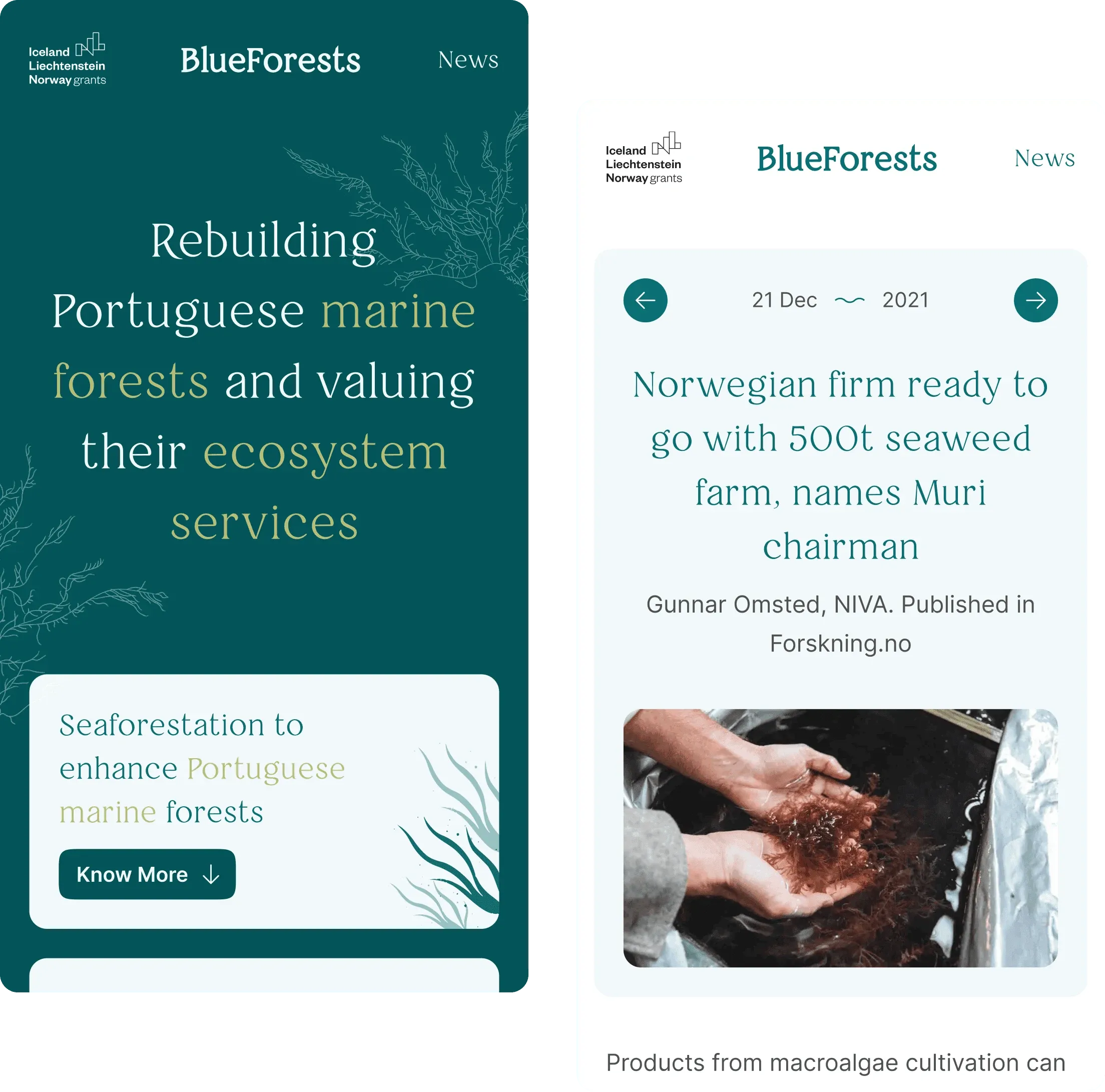 Two BlueForests mobile screens: the homepage hero and a news article about a Norwegian seaweed farm